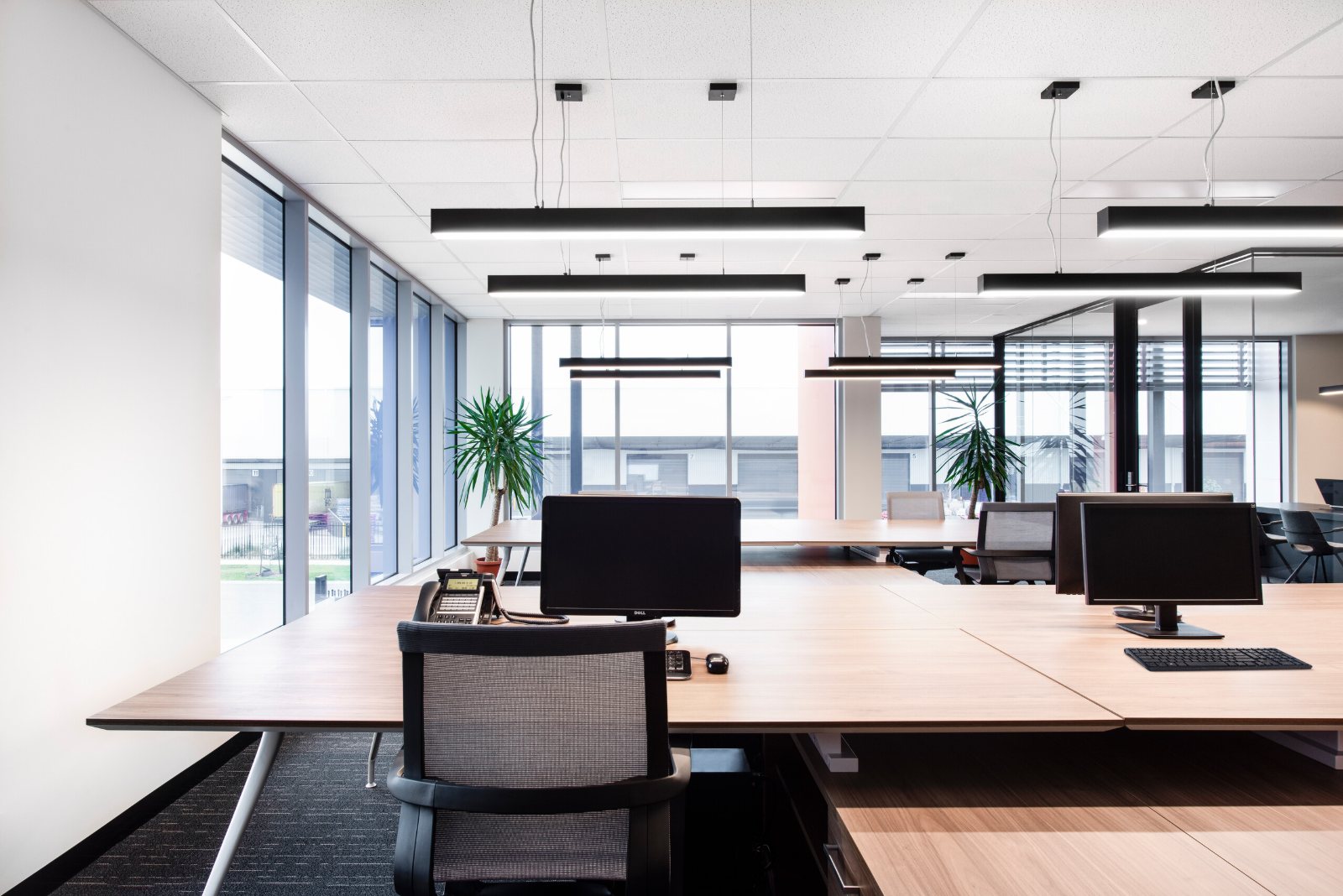 PacifiCo Group, open plan office